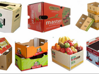 Sử Dụng Bao Bì Giấy Carton Có Lợi Thế Gi Trong Kinh Doanh
