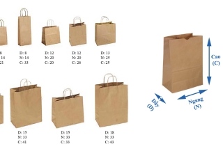 NHỮNG KHÁI NIỆM CƠ BẢN TRONG NGÀNH SẢN XUẤT BAO BÌ GIẤY THÙNG CARTON