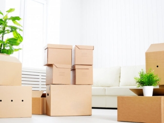 Doanh Nghiệp Nổ Lực Xanh Hóa Sản Xuất Giấy Bao Bì
